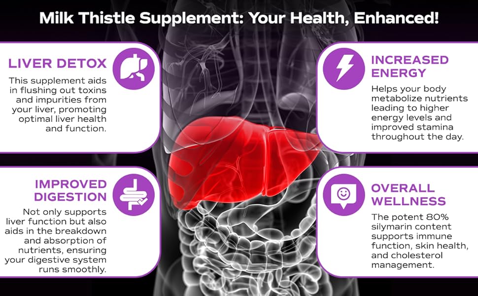 밀크씨슬과 간 해독 기능을 설명하는 실리마린 성분 중심의 간 건강 인포그래픽 이미지